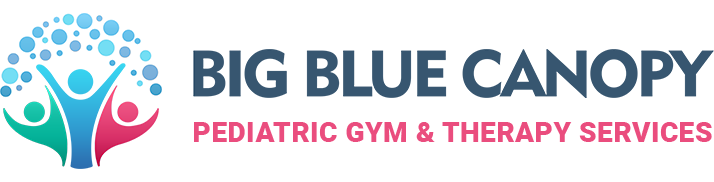 Pediatric Therapy Services & Gym Cincinnati - Big Blue Canopy