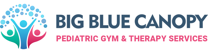 Pediatric Therapy Services & Gym Cincinnati - Big Blue Canopy